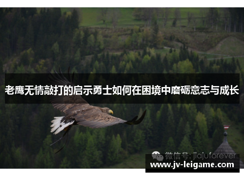 老鹰无情敲打的启示勇士如何在困境中磨砺意志与成长