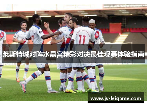 莱斯特城对阵水晶宫精彩对决最佳观赛体验指南