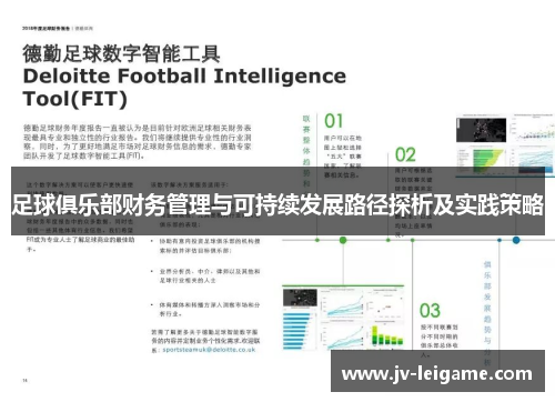 足球俱乐部财务管理与可持续发展路径探析及实践策略