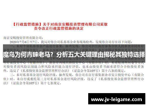 魔鸟为何青睐老马？分析五大关键理由揭秘其独特选择